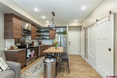 610 E 8th Ave unit 218, Durango, CO 81301 - photo 3