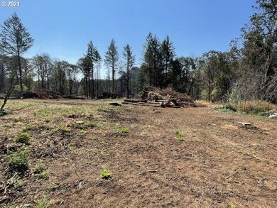 23155 N Fork (-23155) Rd SE, Lyons, OR 97358 - photo 2