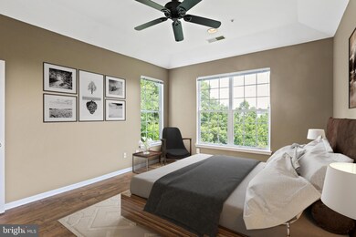 5002 Willow Branch Way unit 302, Owings Mills, MD 21117 - photo 4