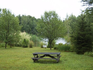 Enjoy a lakeside picnic!