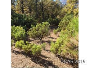 0 Pennsylvania Gulch unit 152510, Murphys, CA 95247 - photo 5