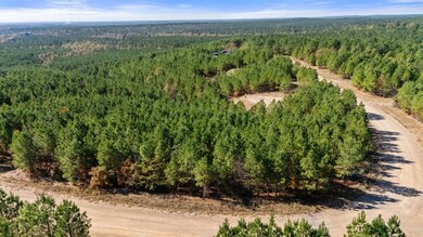 293 Legacy Vista Trail, Broken Bow, OK 74728 - photo 4