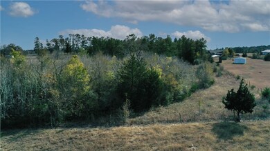 View of local wilderness