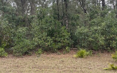 0 280th St, Branford, FL 32008 - photo 3