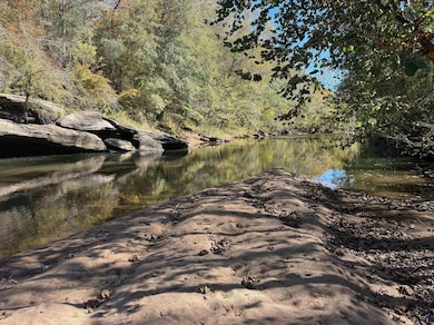 3271 Georgia 42, Forsyth, GA 31029 - photo 2