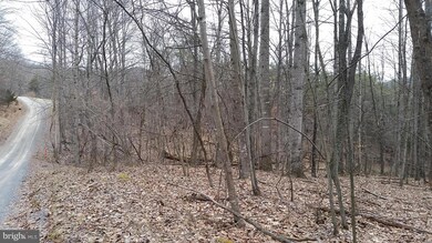 36 A High View Rd, Lost River, WV 26810 - photo 6