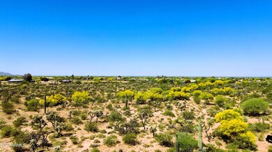 Cactus Forest Revised Aerial 6