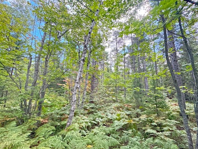 14599 N Whitefish Point Rd, Paradise, MI 49768 - photo 5