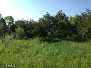 0 Bass Ln unit 1003002310, Winchester, VA 22603 - photo 3