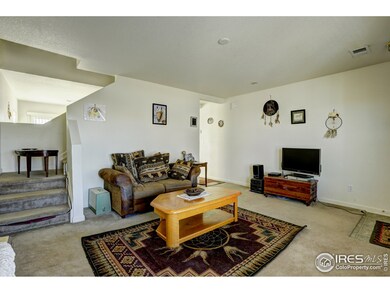 218 Zephyr Ct, Brighton, CO 80603 - photo 6