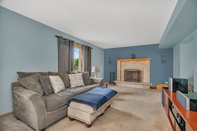 601 High Grove Dr, Minooka, IL 60447 - photo 5