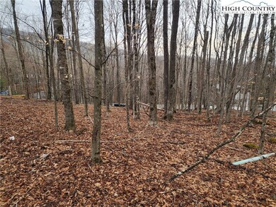Rear lot line common to House & lot 510