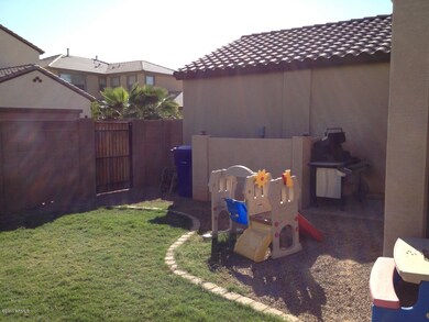 Backyard 1