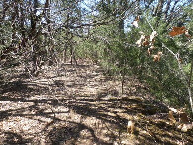 View of local wilderness