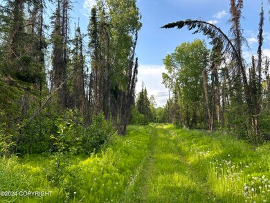 13964 W Little Jack Ave, Wasilla (2)