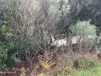 201 Sandpiper Dr, Hertford, NC 27944 - photo 7