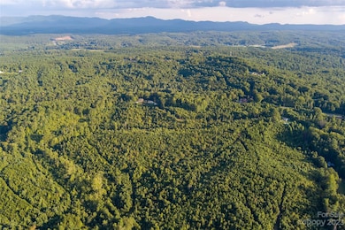 0 Highway 70 E, Nebo, NC 28761 - photo 5