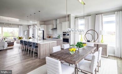 23592 Hopewell Manor Terrace, Ashburn, VA 20148 - photo 6