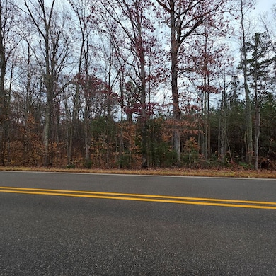 .62 acre Virginia 49, Chase City, VA 23924 - photo 2