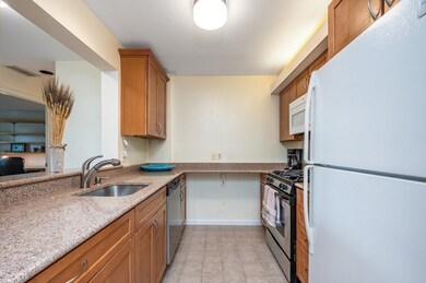 20 Chestnut St unit 41, Cambridge, MA 02139 - photo 6