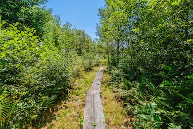 390 Howard Pond Rd, Hanover, ME 04237 - photo 3