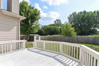 821 Hackberry Ln, Algonquin, IL 60102 - photo 4