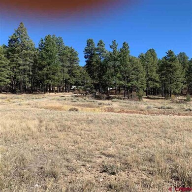 360 Fantango Rd, Durango, CO 81301 - photo 3