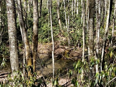 0 Little Snowbird Rd unit 152342, Robbinsville, NC 28771 - photo 3