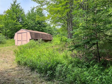 Gravel Driveway and Shed