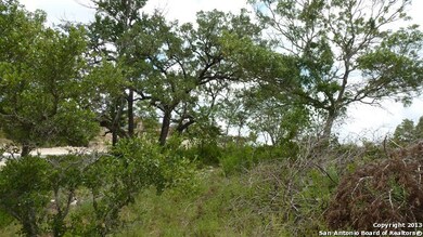 9806 Ivory Canyon, San Antonio, TX 78255 - photo 3