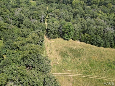 4 Lot Tanglefoot Farms Rd, Festus, MO 63028 - photo 3