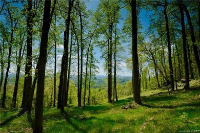 49 Split Rock Tr unit 4, Avery Creek, NC 28704 - photo 6