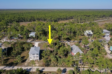 118 Cottage Ln, Port St. Joe, FL 32456 - photo 3