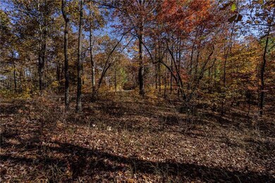 Lot145 Foxglove Trail, Ellijay, GA 30540 - photo 7