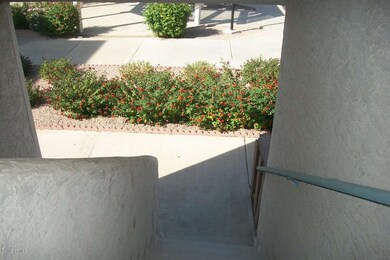 100_5917