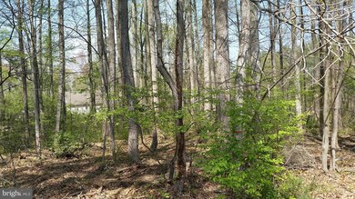 0 Scott Cir unit 1001114261, Mechanicsville, MD 20659 - photo 2