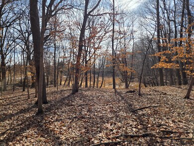 XXXX Julep Trail N, Columbus, MN 55025 - photo 7