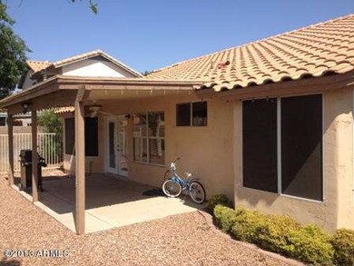Hackamore 257