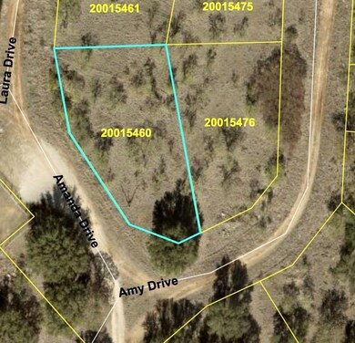 TBD Amy Dr, Brownwood, TX 76801 - photo 7