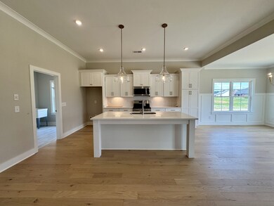 5516 Sinclair St, Murfreesboro, TN 37127 - photo 4