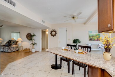 10024 W Deanne Dr, Sun City, AZ 85351 - photo 6