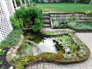 Pond with fish