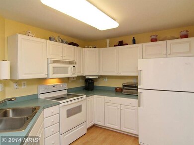 6500 Ridenour Way E unit 3D, Sykesville, MD 21784 - photo 5