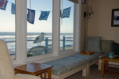 Seagull at Window