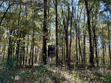 0 Wilson Rd unit 25-2328, Pheba, MS 39755 - photo 2