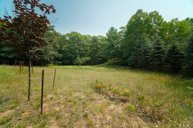 0 Herkelrath Rd unit 21100482, Onekama, MI 49675 - photo 5