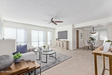 Living Room with natural light