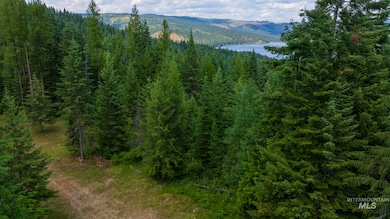 7362 S Dick's Creek Rd, Kendrick, ID 83537 - photo 5