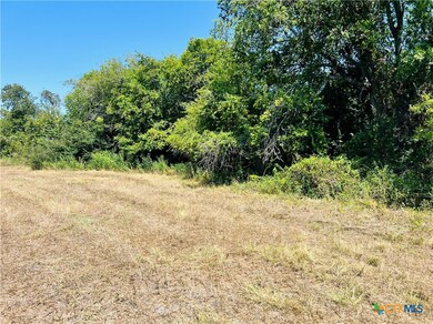 7881 Pecan Rd, Troy, TX 76579 - photo 7