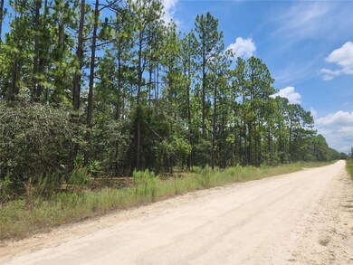 Road Facing East
